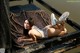 A woman laying on top of a metal structure.