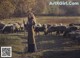 A woman standing in front of a herd of sheep.